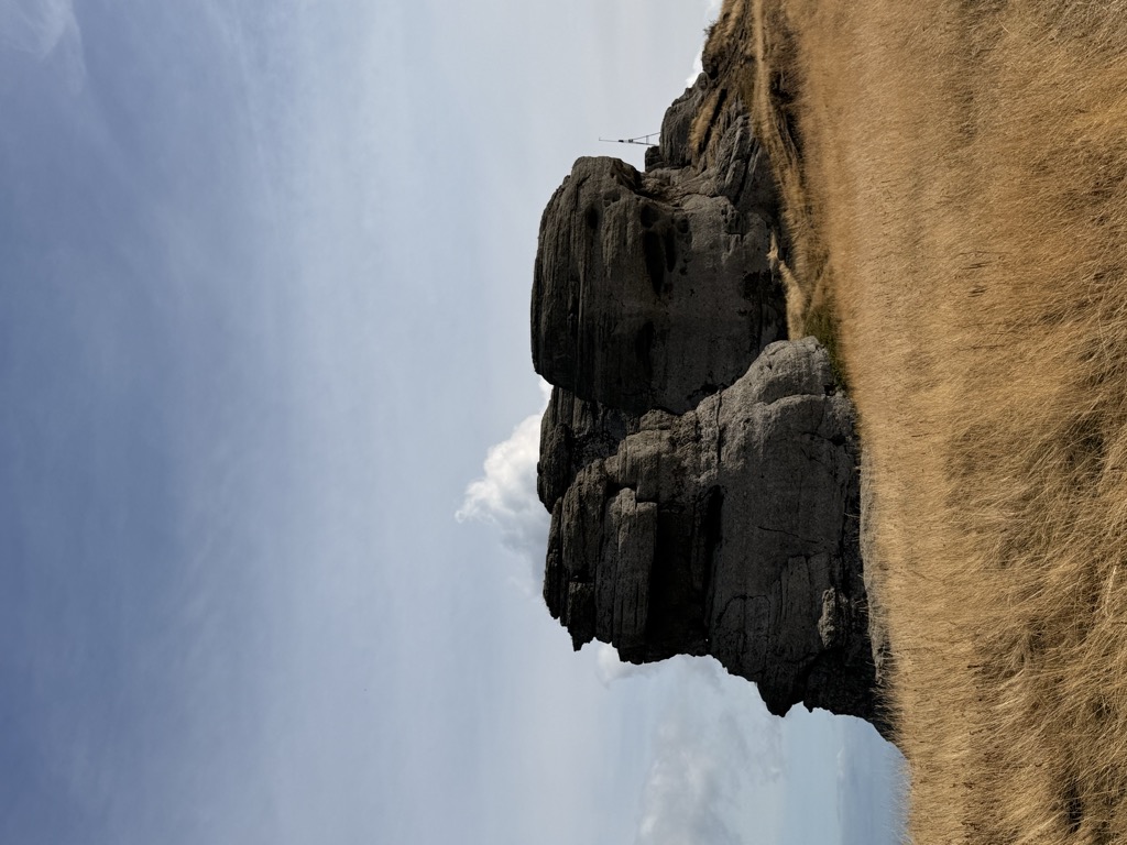 Alenga