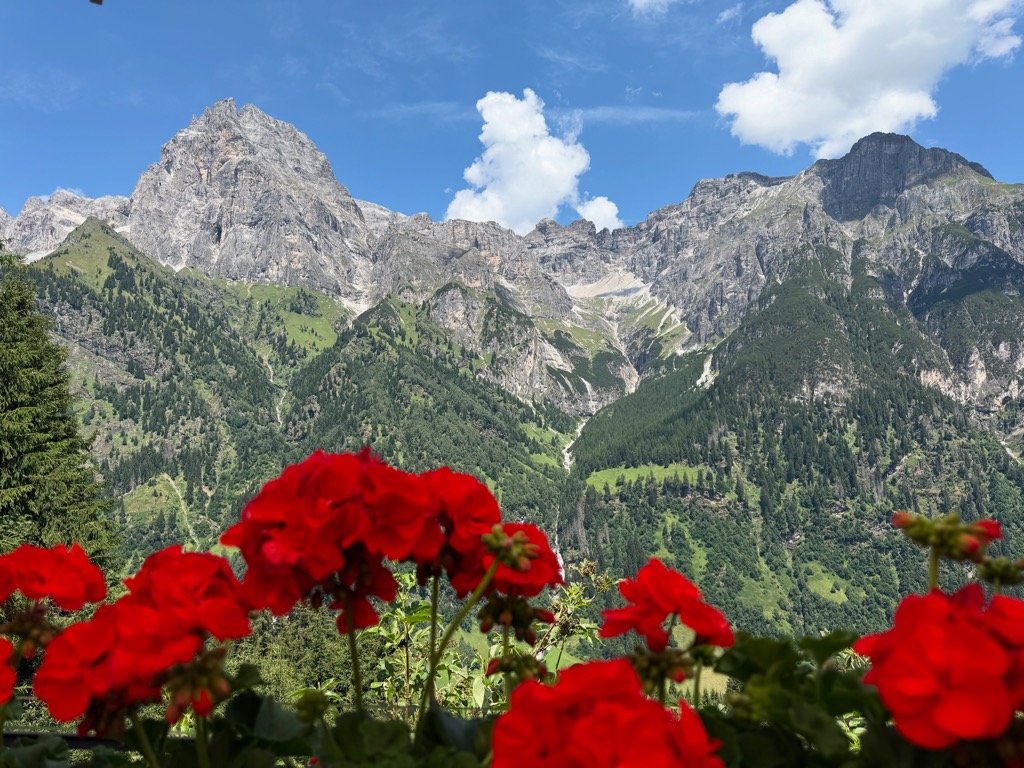 allrissalm-malga-alberes-1