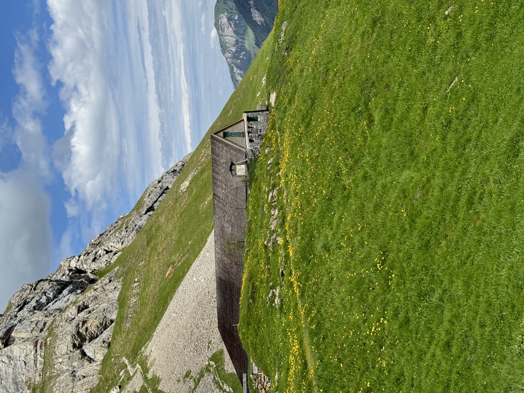alp-altenalp