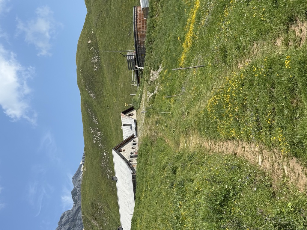 alp-altsass