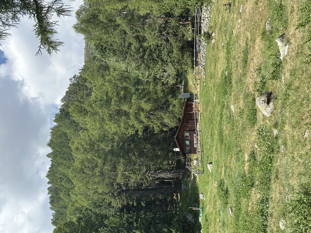 Alp Muntatsch