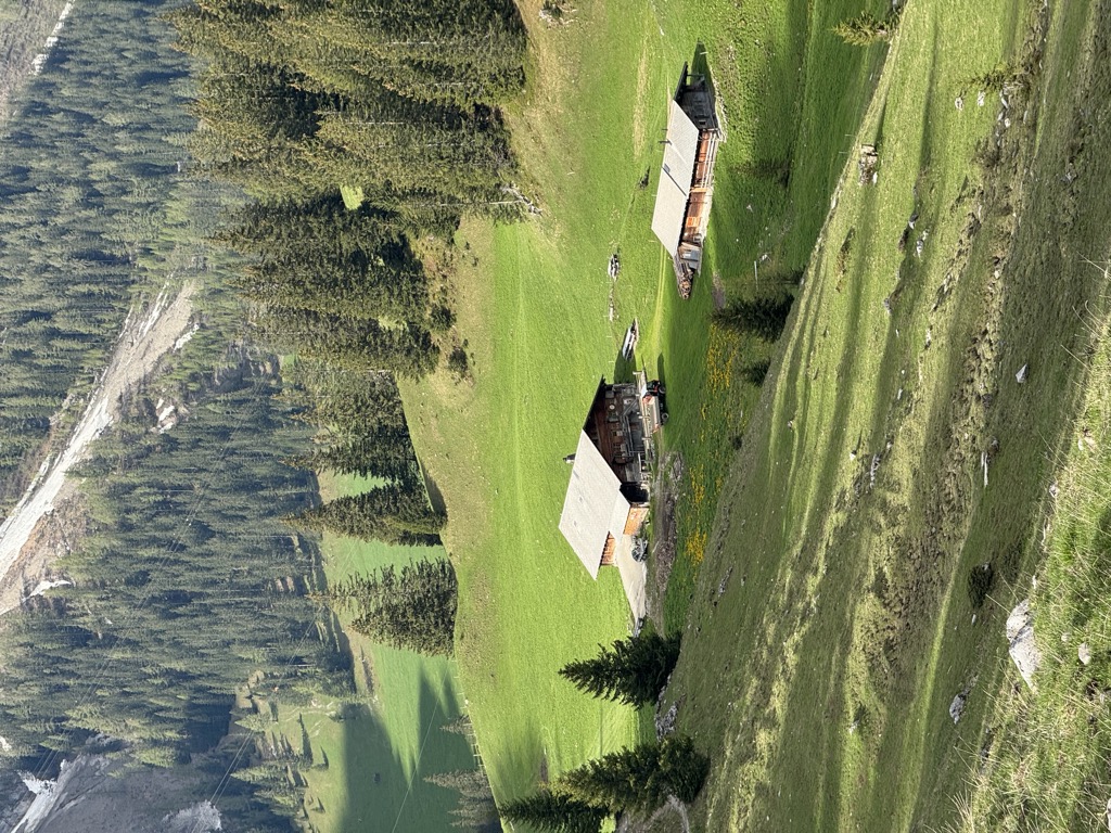 alp-ritz