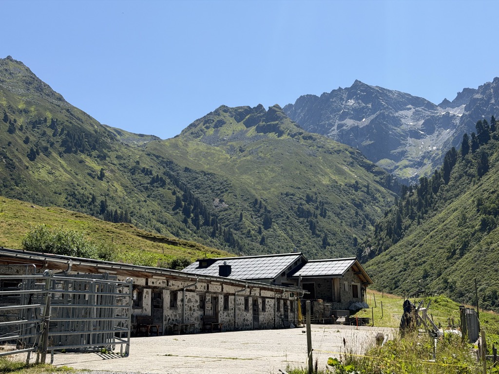 Alp Sardasca