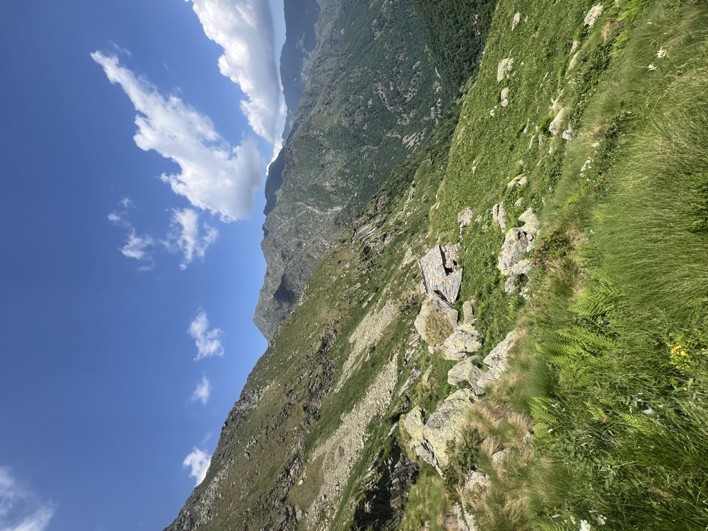 Alpe Pietra Nuova