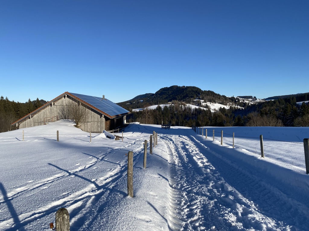 alpe-rote-heide