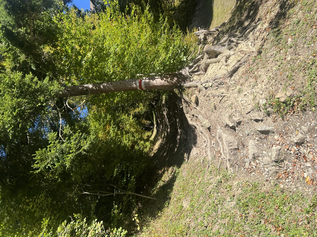 alplibahn-bergrestaurant