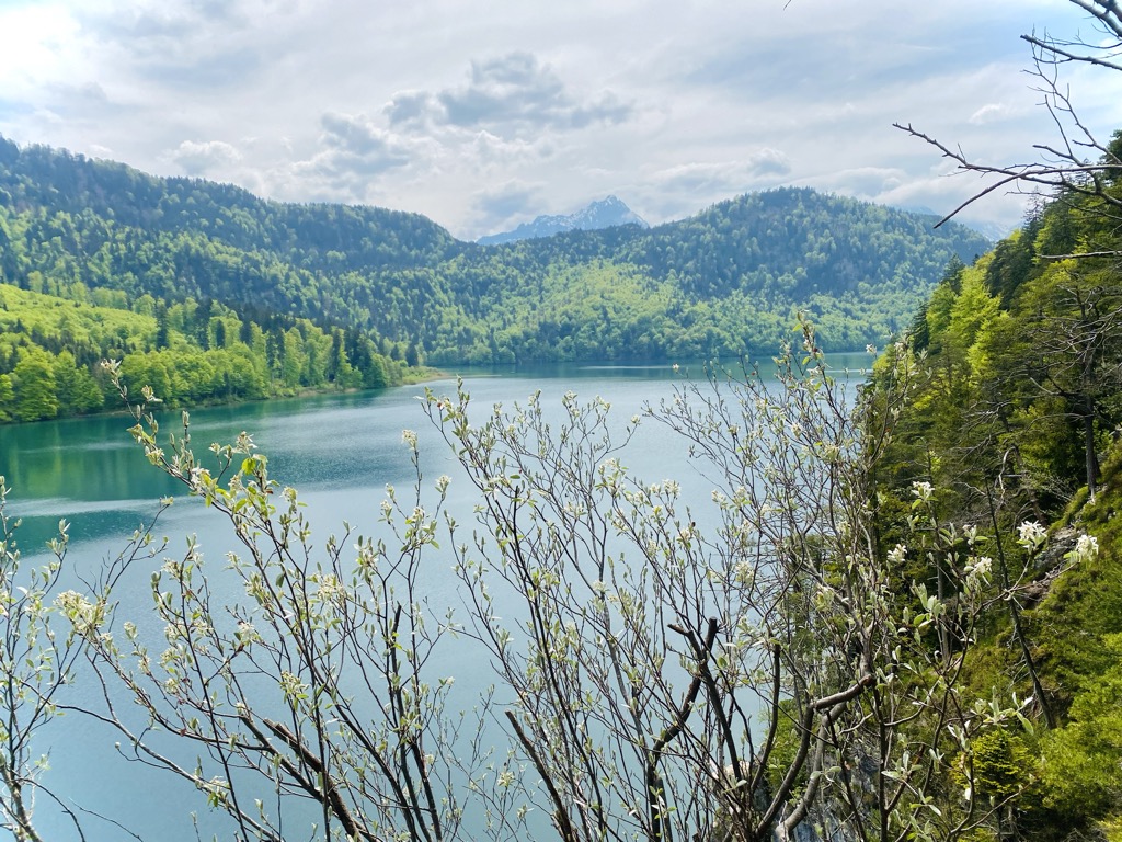 Photo №2 of Alpsee