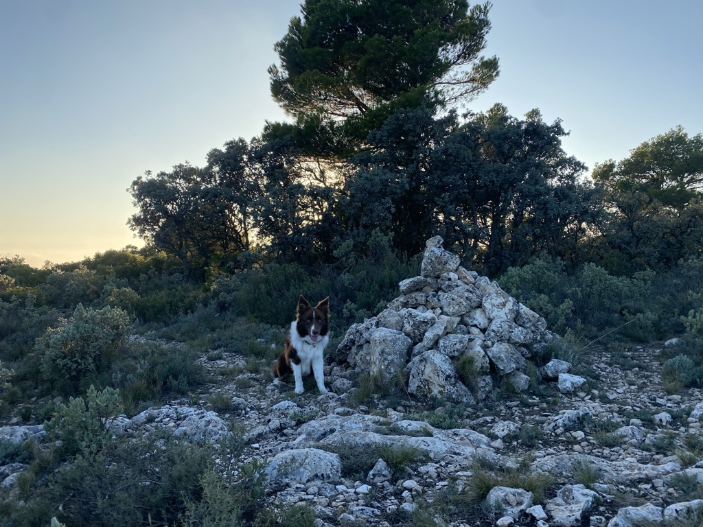 Photo №2 of Alt del Carrascalet