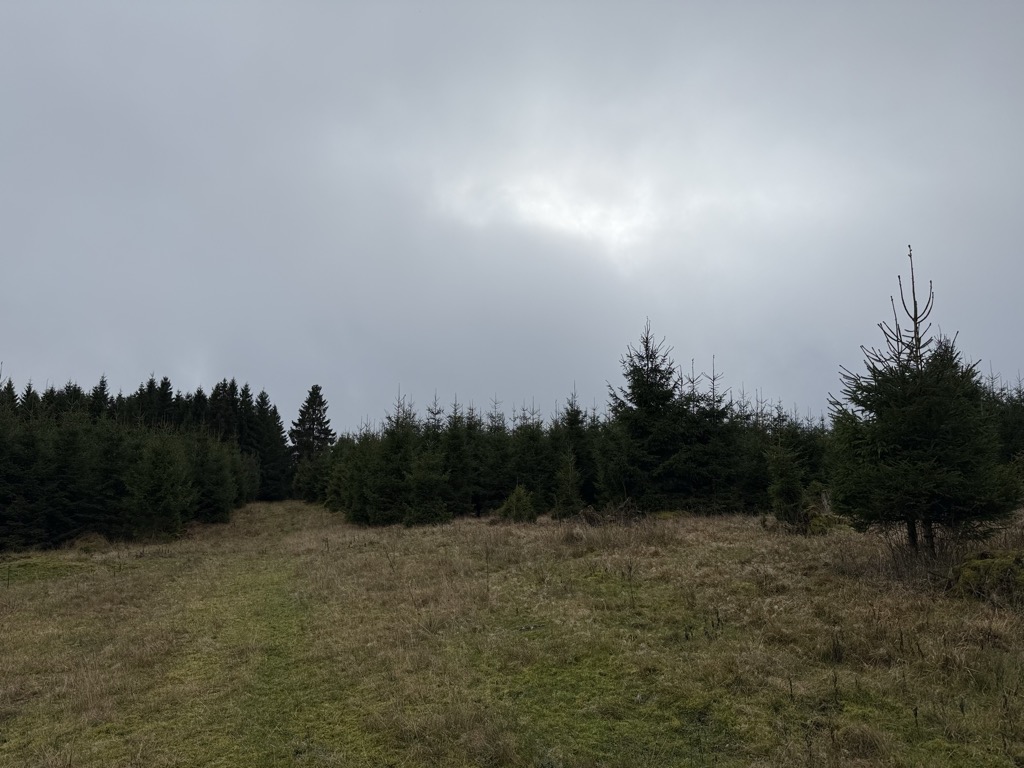Photo №2 of Alter Weg