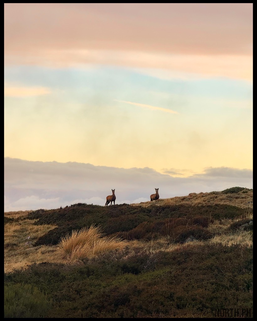 Photo №2 of Alto de la Ferradura