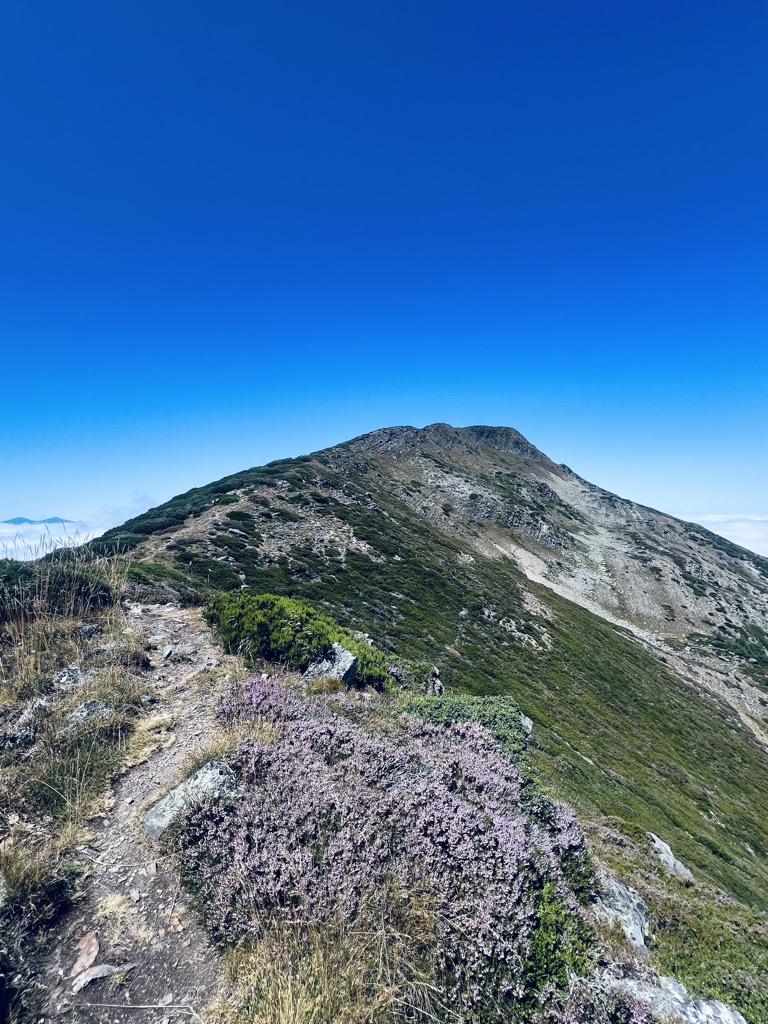 Photo №1 of Alto de la Ferradura