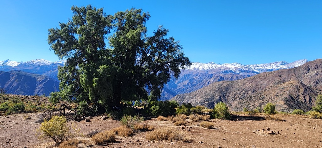 Photo №1 of Alto del Naranjo