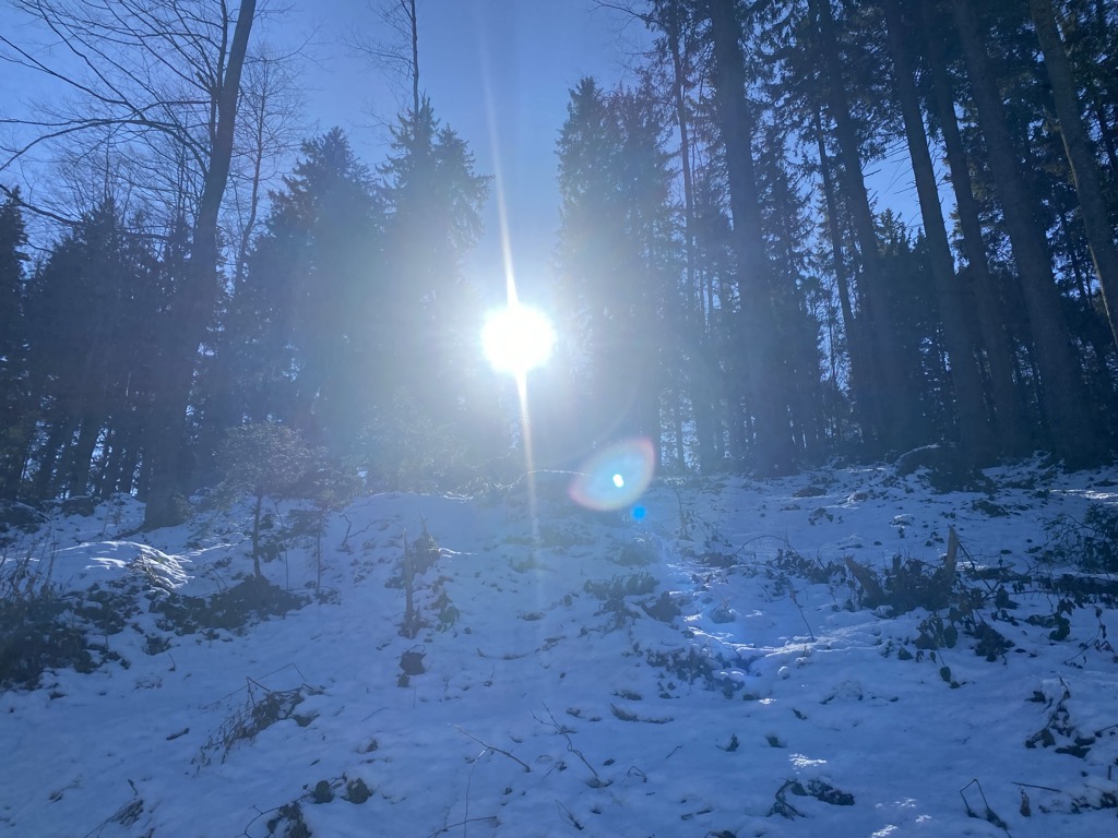 Photo №1 of Änger