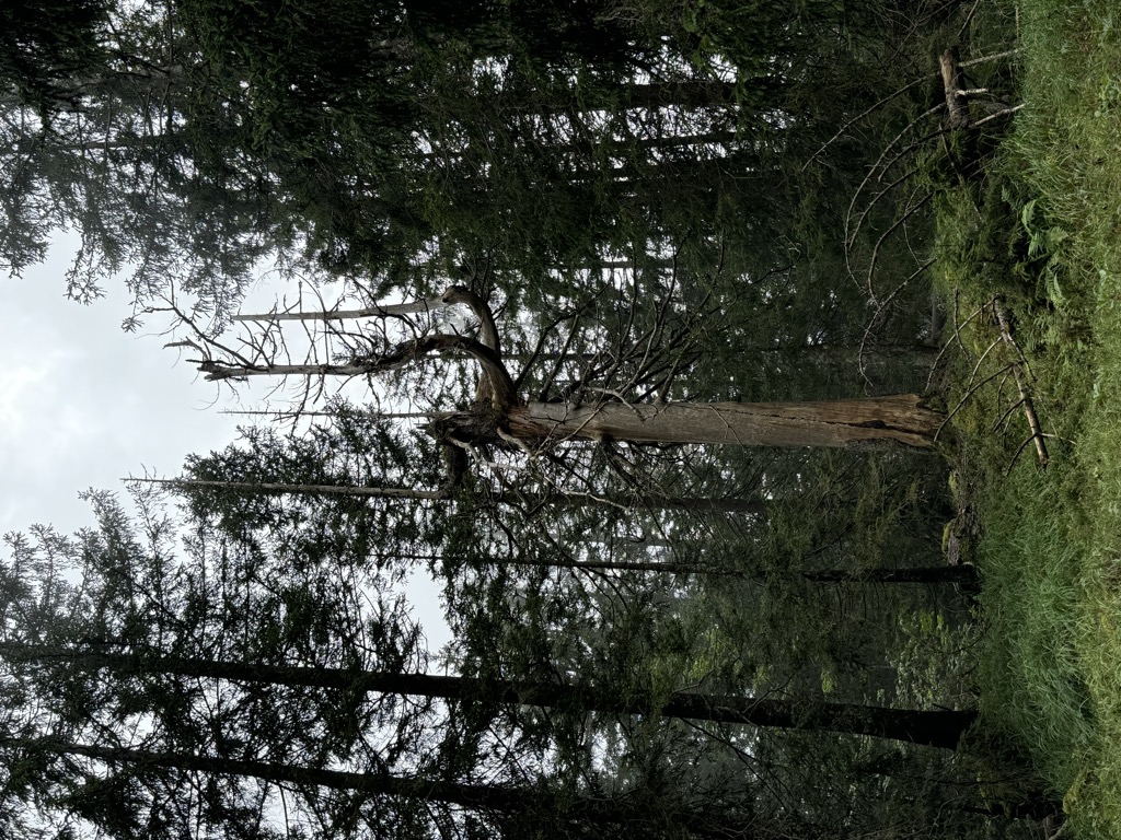 Photo №2 of Archenkopf