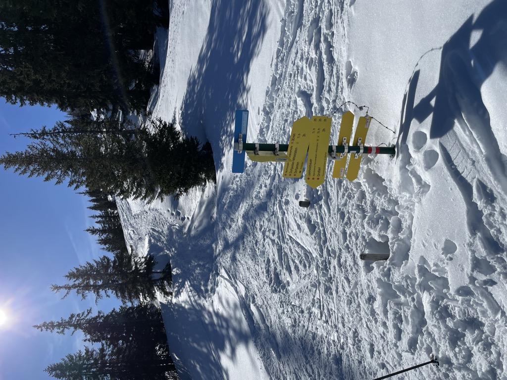 Photo №2 of Arltörl