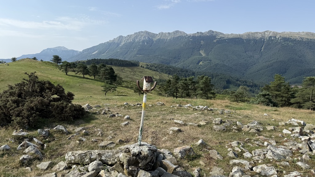 Photo №2 of Arripillaeta