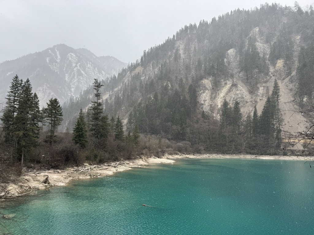 Arrow Bamboo Lake