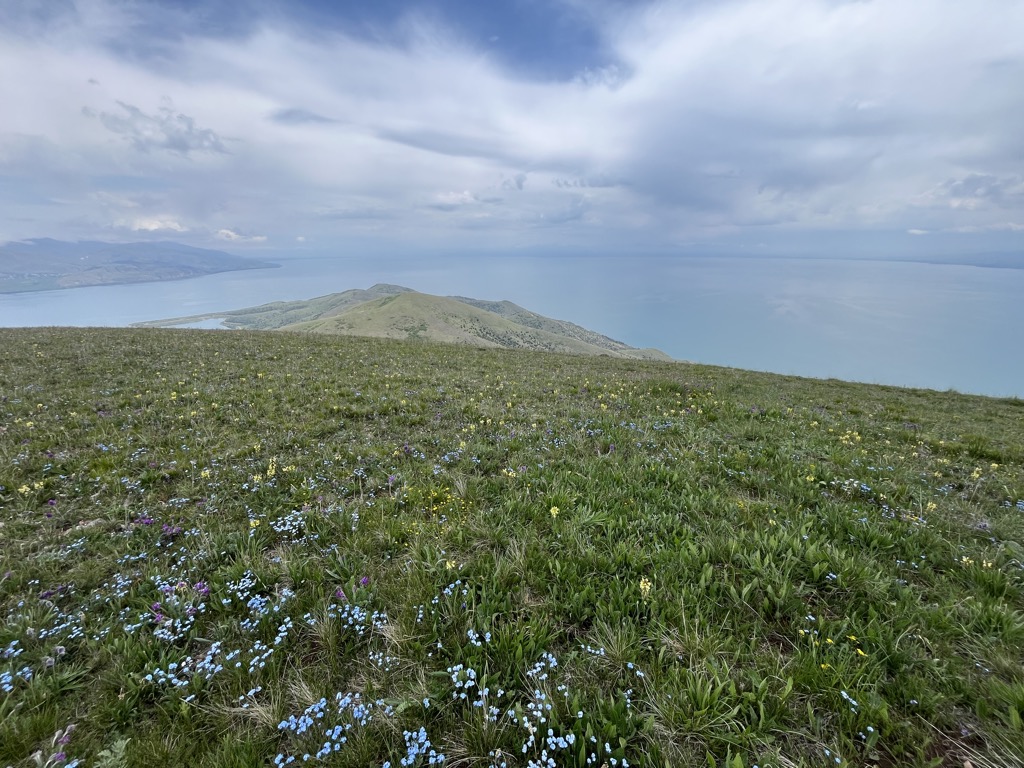 Photo №1 of Artanish