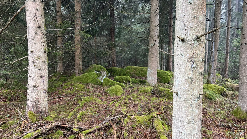 Photo №2 of Asberg