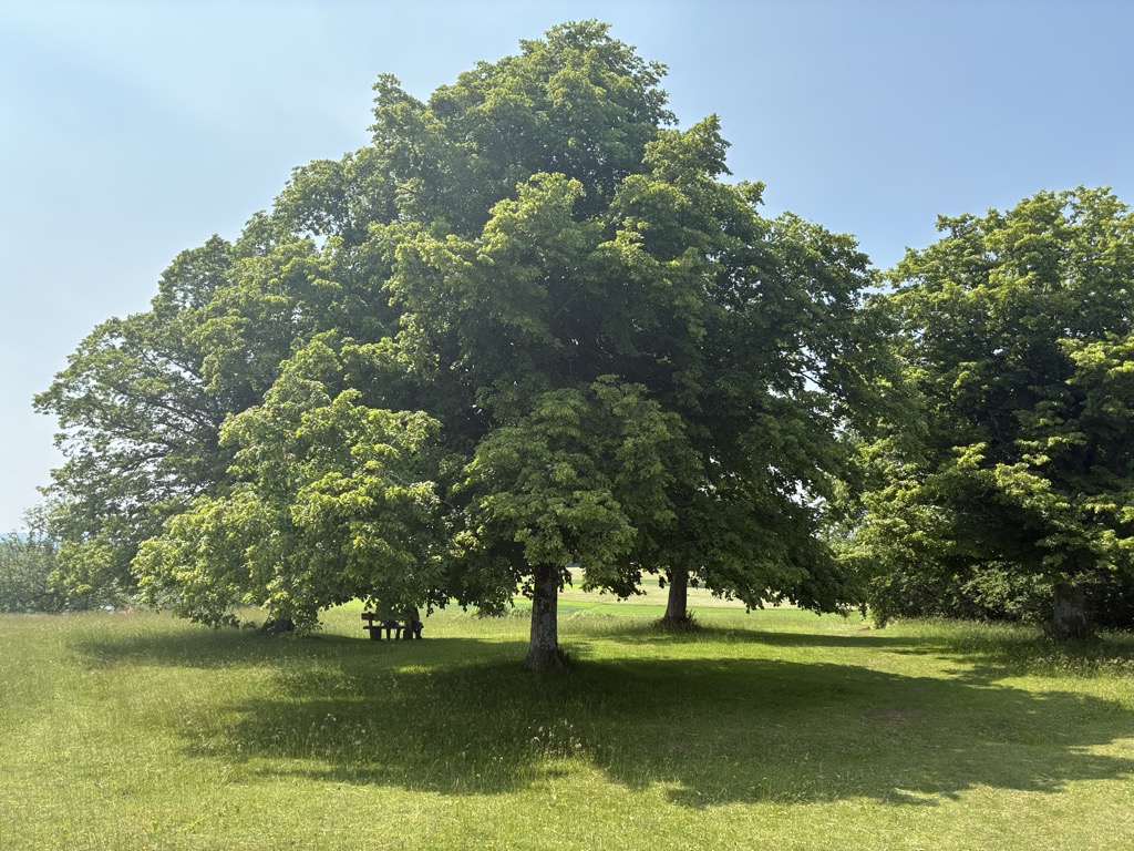 Photo №1 of Auchtert