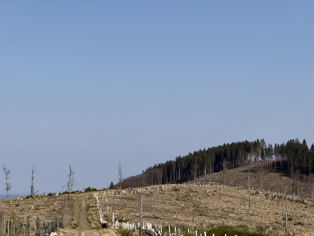 Photo №2 of Auf dem Alten Holz