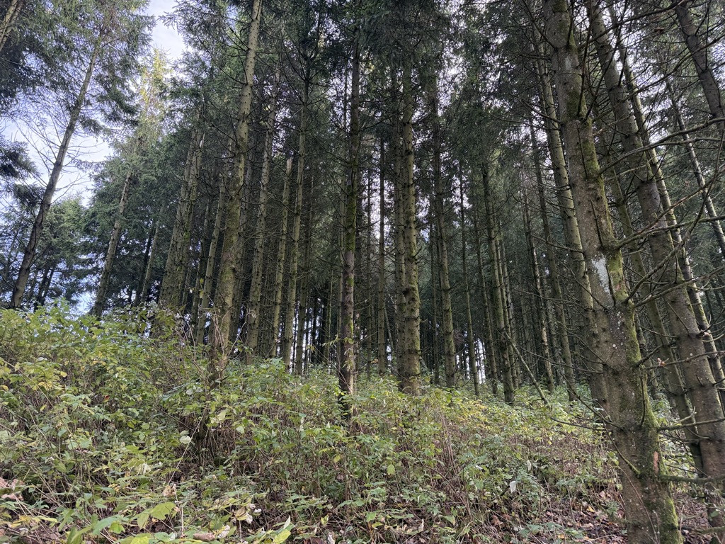 Photo №2 of Auf der Höhe