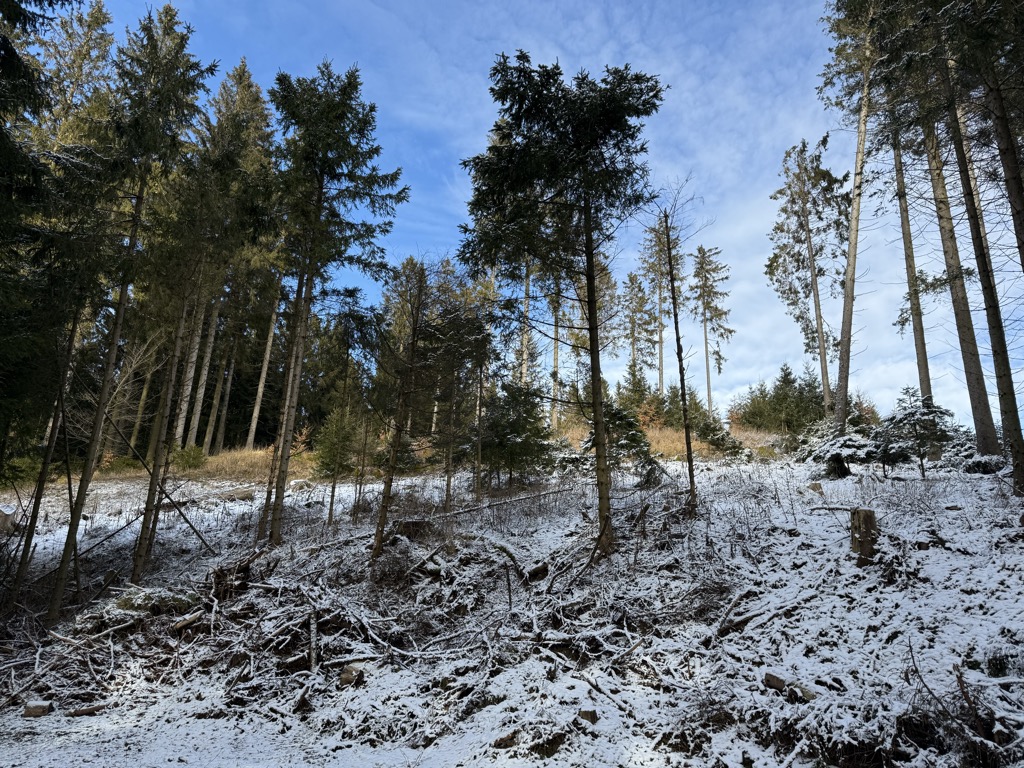 Photo №2 of Auf'm Knoll