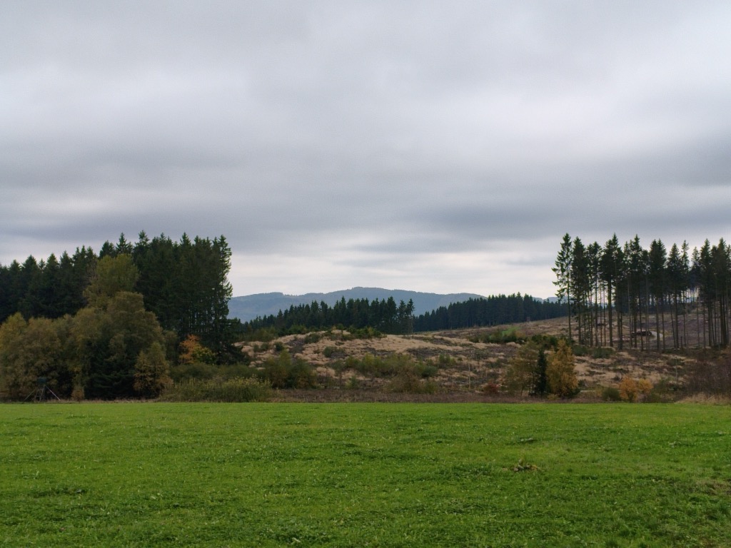 Photo №2 of Auf'm Riese