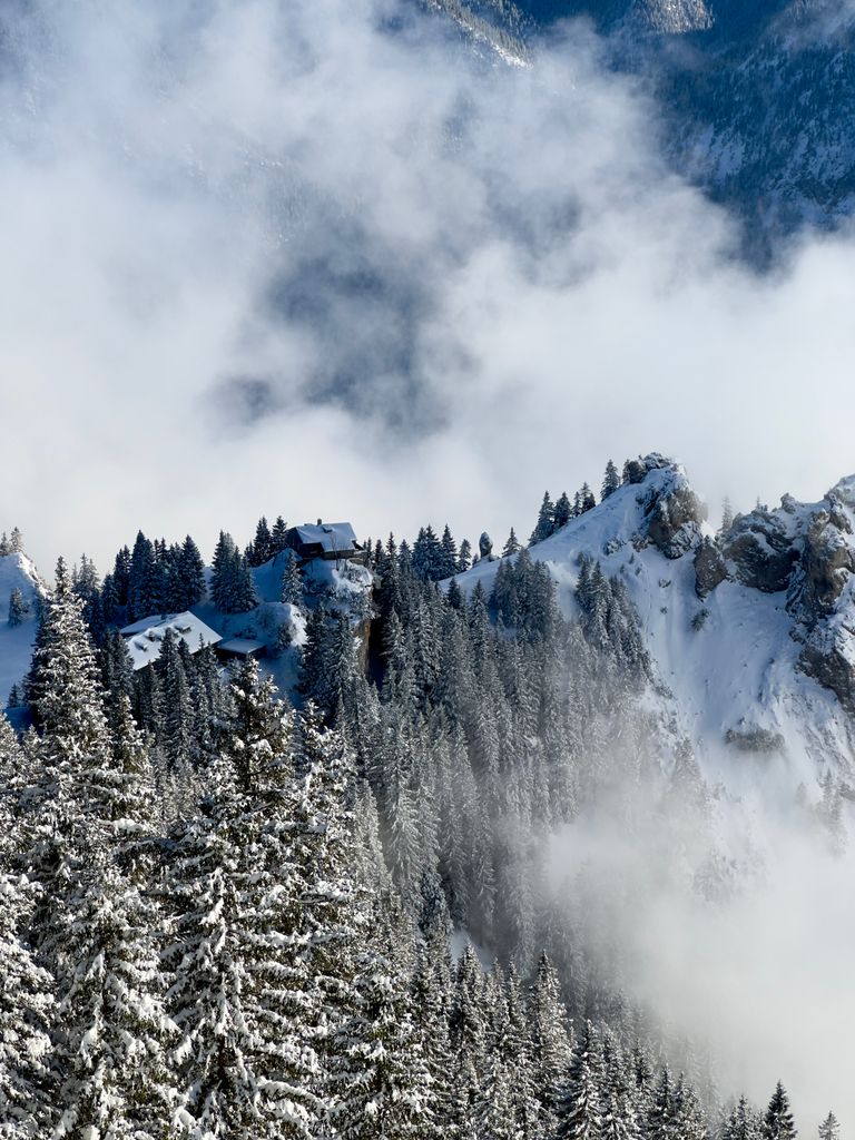 august-schuster-haus-1