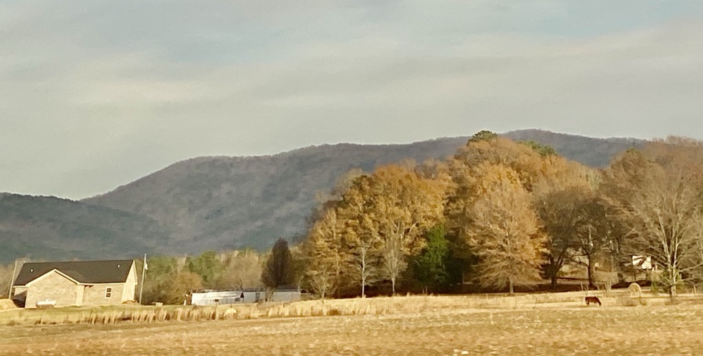 Photo №2 of Augusta Mine Ridge