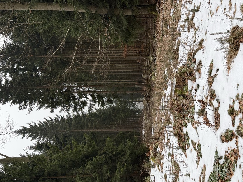 Photo №2 of Bächenkopf