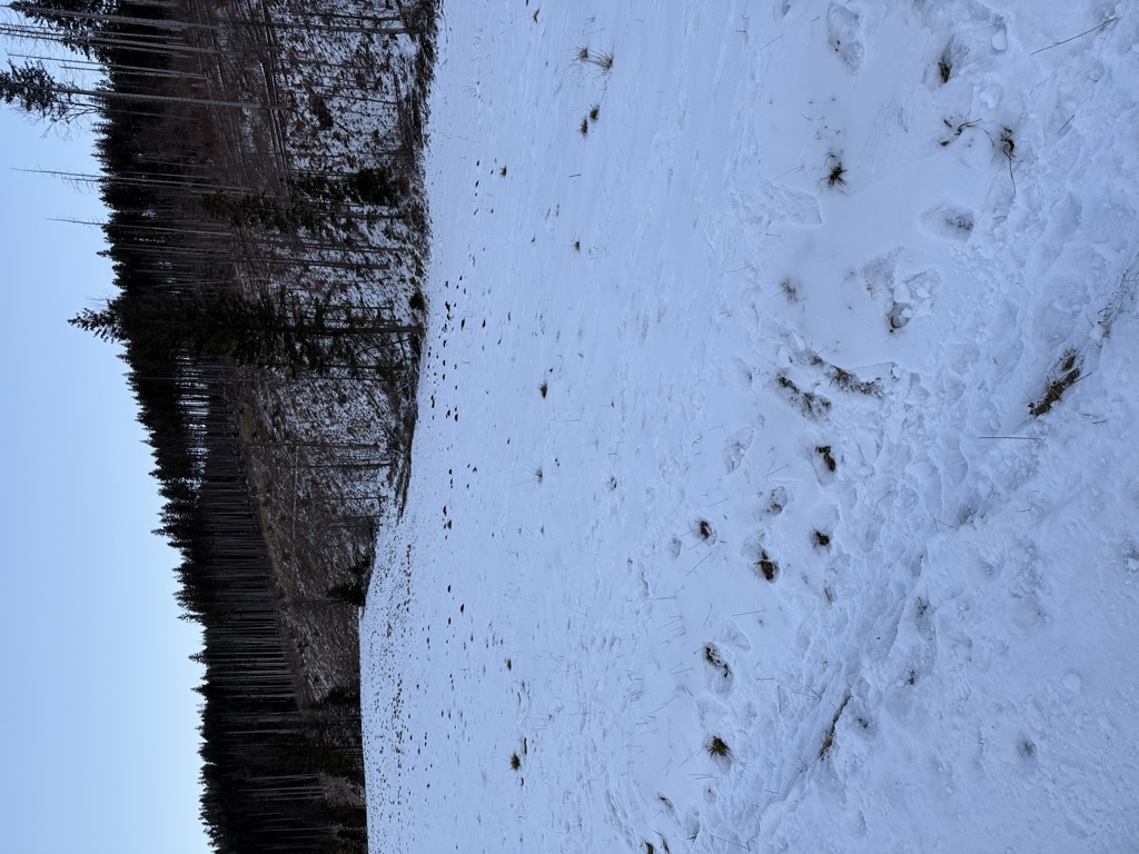 bacowka-1