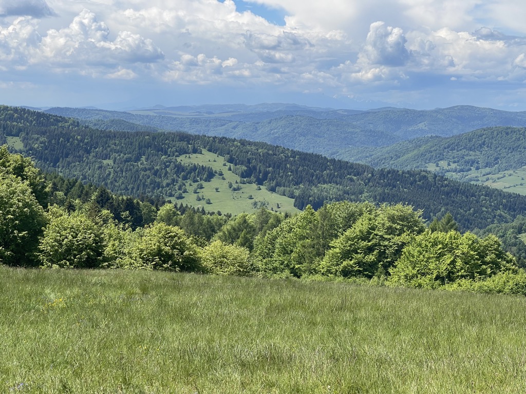 bacowka-pttk-nad-wierchomla-4