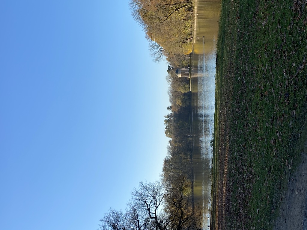Photo №3 of Badenburger See