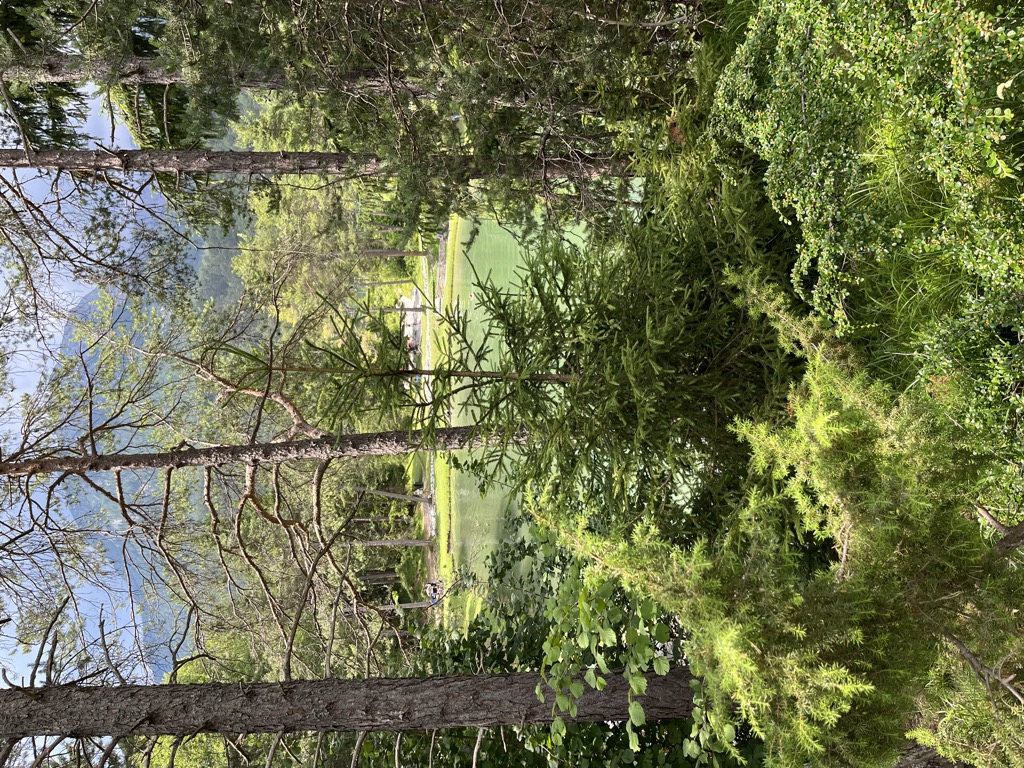 Photo №2 of Badesee
