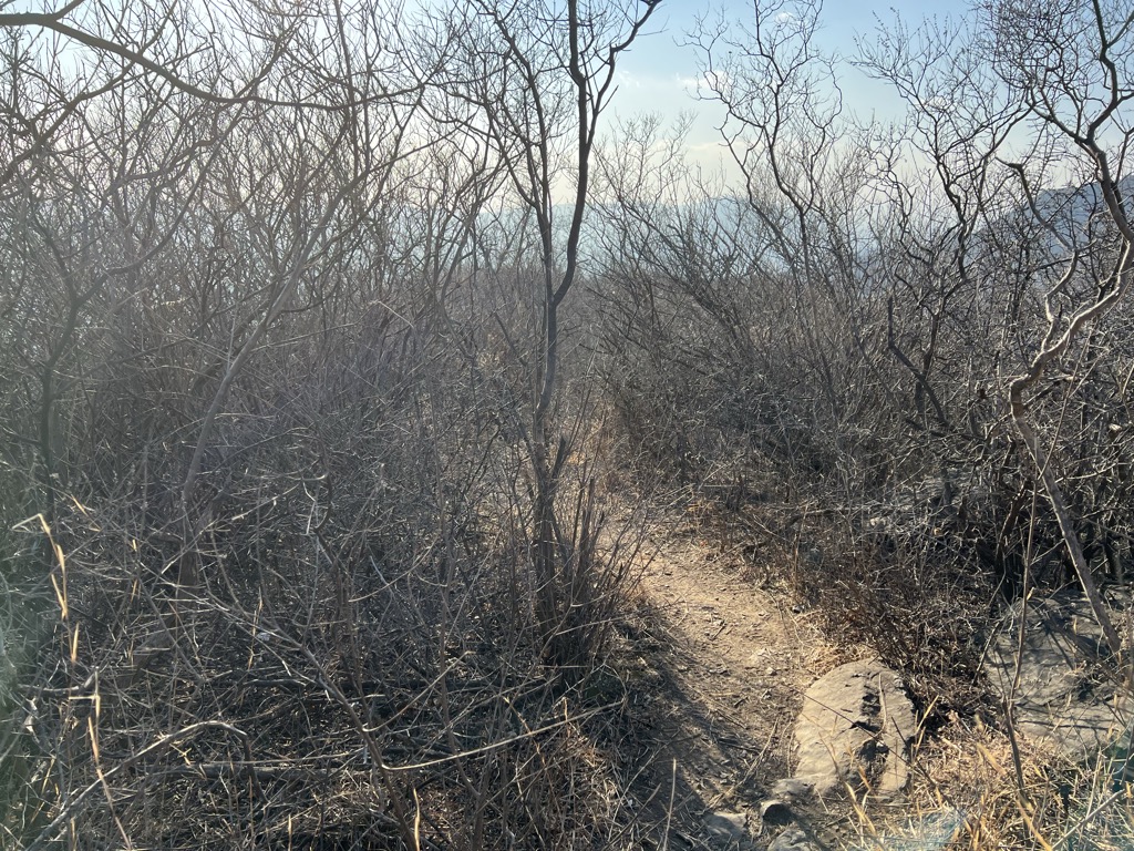 Photo №2 of Báishí Gǎng