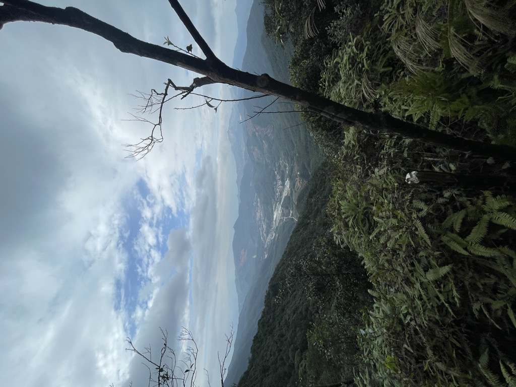 Photo №1 of Baishi Meishan