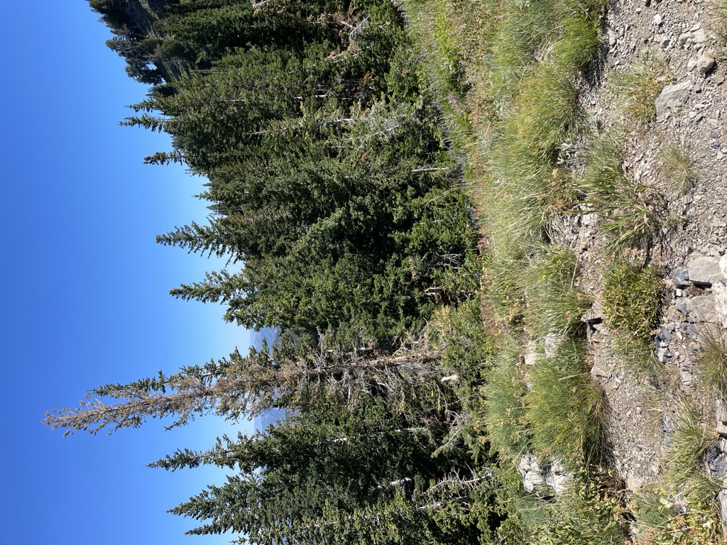 Photo №2 of Bakers Pass