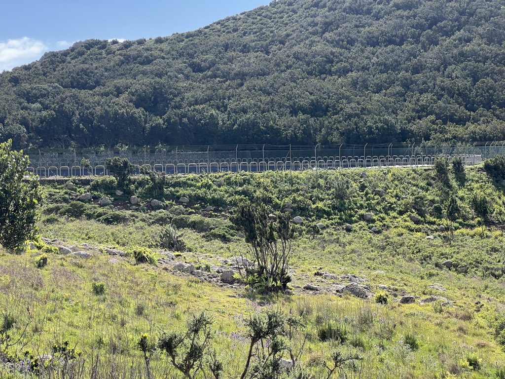 Photo №2 of Balsa de Teno Alto