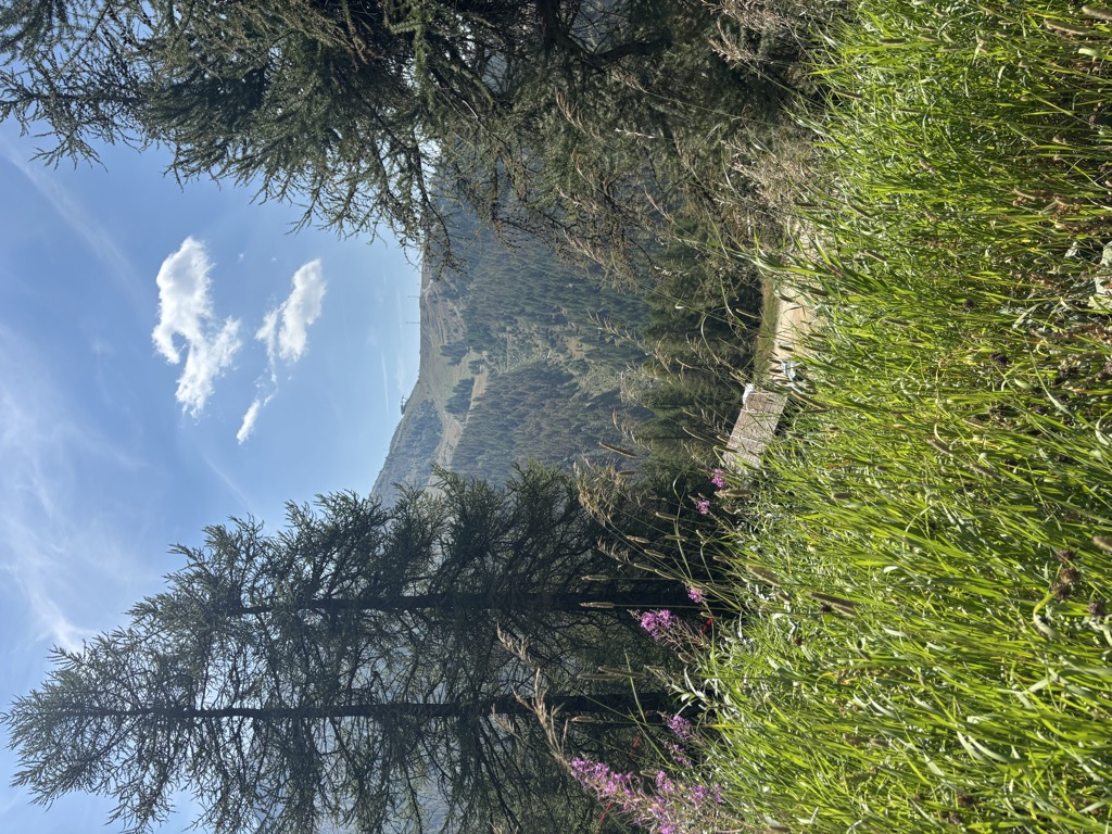 bar-ristorante-chisonetto