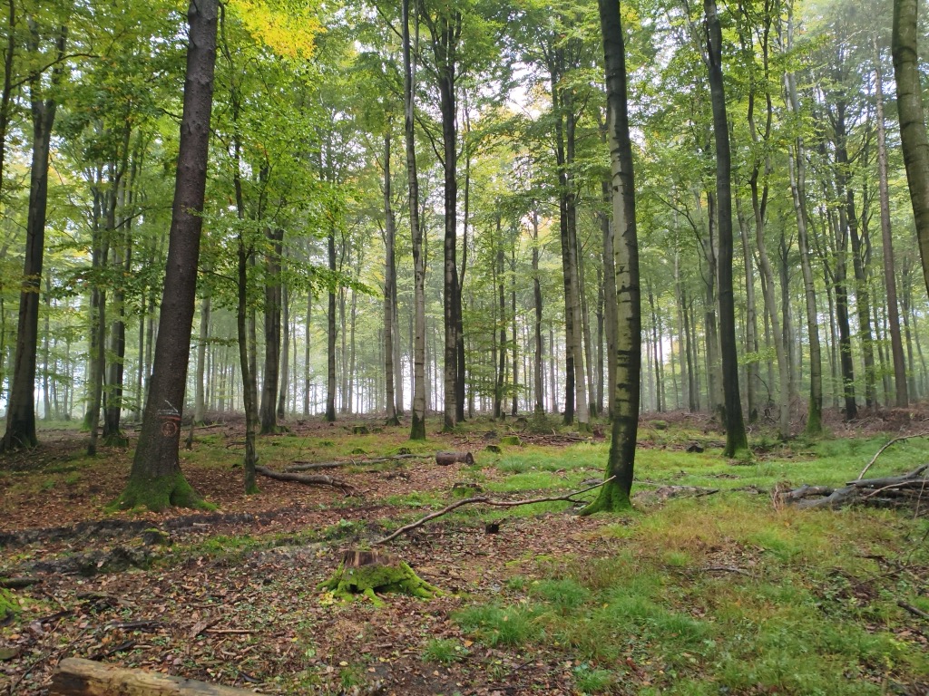 Photo №1 of Barnacken