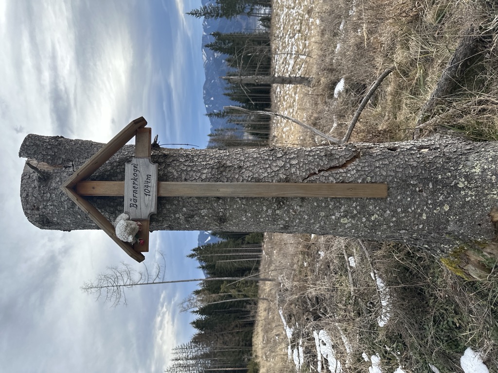 Photo №5 of Bärnerkogel