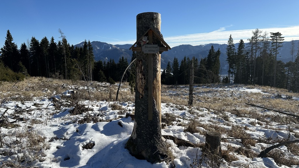 Photo №3 of Bärnerkogel