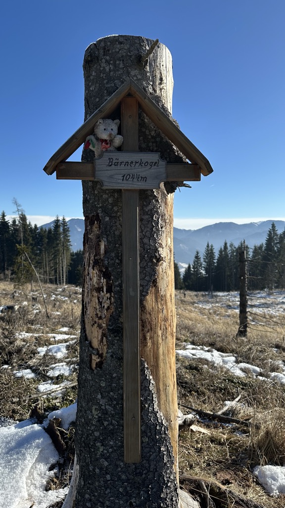 Photo №2 of Bärnerkogel
