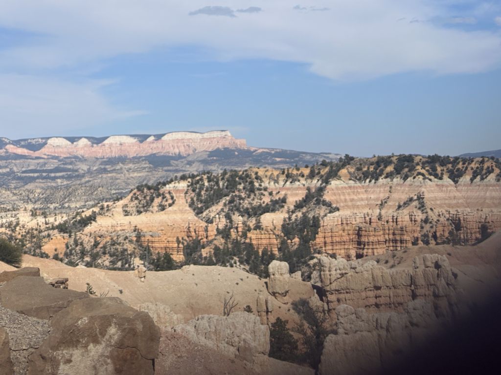 Photo №1 of Barney Top