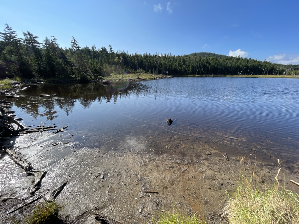 Bartlett Pond