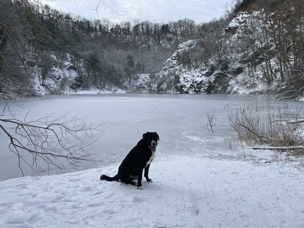 Photo №4 of Basaltsee - Forster Basaltsteinbruch