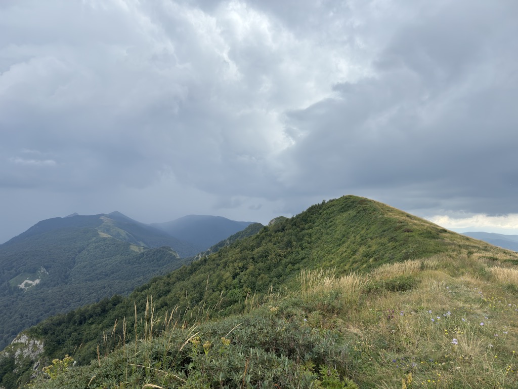 Photo №1 of Batareinaya