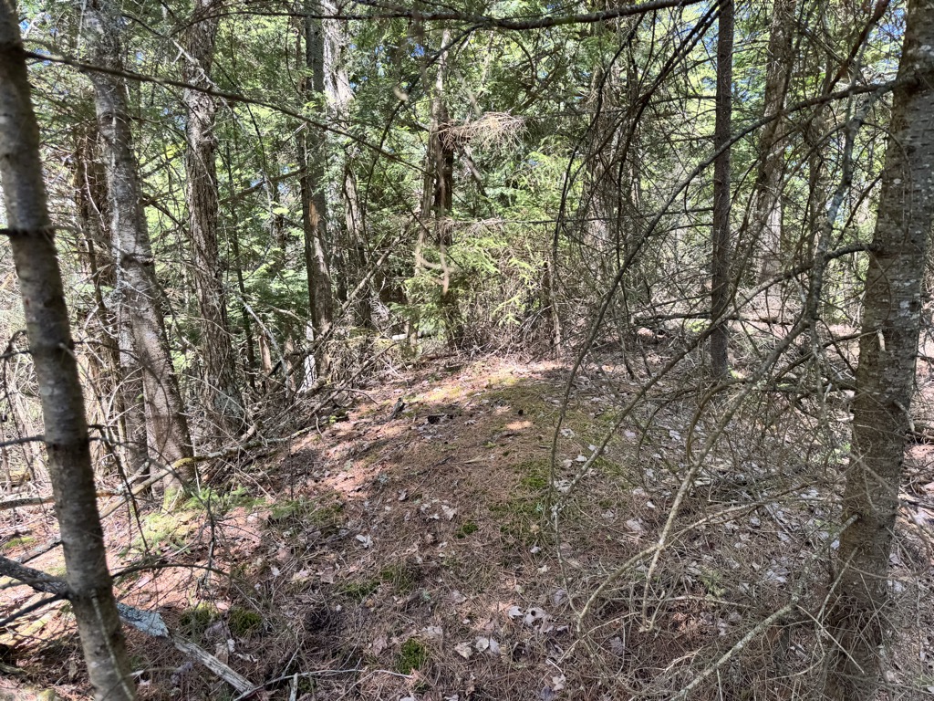 Photo №2 of Bear Mountain