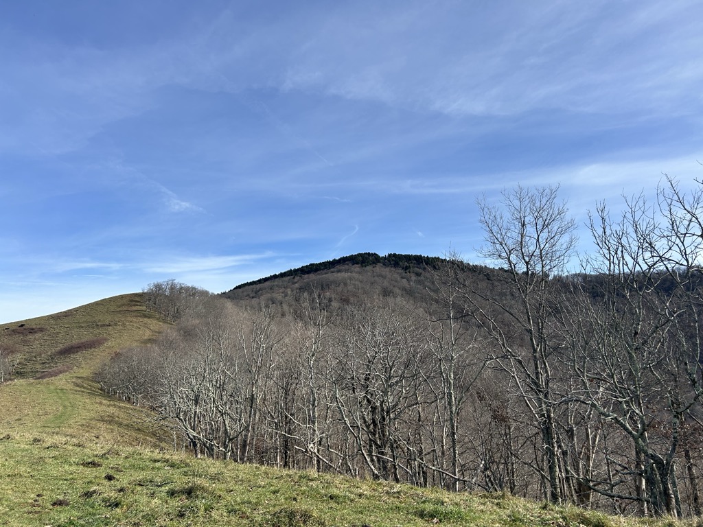 Photo №1 of Beartown Mountain